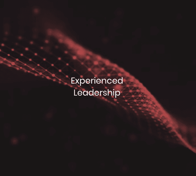 Experienced Leadership